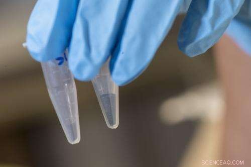 Rice University & Lockheed Martin Advance Porous Silicon for Higher‑Power Lithium‑Ion Batteries