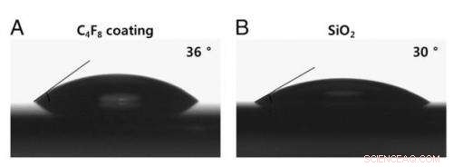 Fireflies Inspire Korean Team’s Innovative LED Lighting Solution