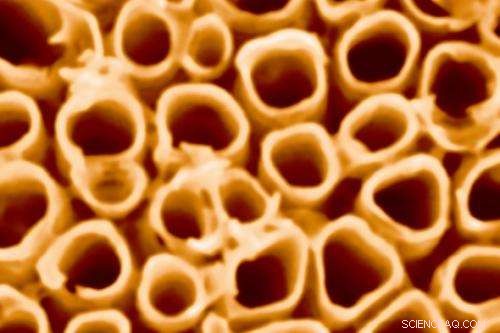 Titania Nanotubes Go Commercial, Boosting Fuel Cell and Solar Panel Performance