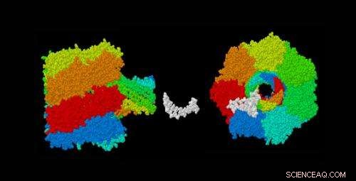 Handle with Care: Gently Drive DNA Through Nanopores for Accurate Results