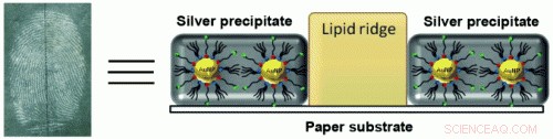 Nanotechnology Unlocks Clear Visualization of Latent Fingerprints on Paper