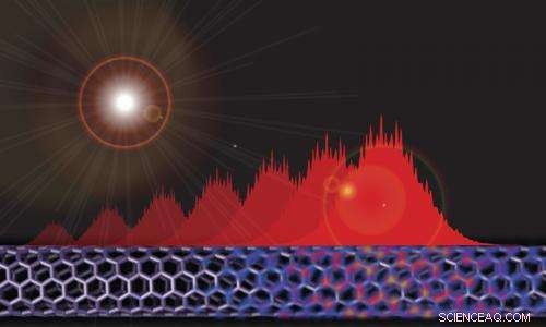 New Insights into Light‑Induced Charge Transport in Carbon Nanotubes