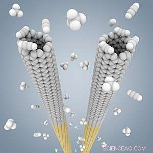Scientists Engineer Precise Carbon Nanotube Structures to Harness Their Full Potential
