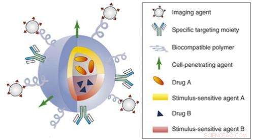 Multifunctional Nanoliposome Therapy: A Promising Treatment for Hearing Disorders