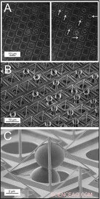 Micro‑Pyramid Platforms Capture Living Cells for Advanced Bio‑Research