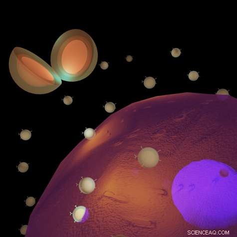 Bright Nanoprobes Illuminate Targeted Tissues for Precise Biomarker Detection