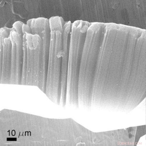 James Bond: A Graphene/Nanotube Hybrid – A Seamless Conductor for Energy Storage and Electronics