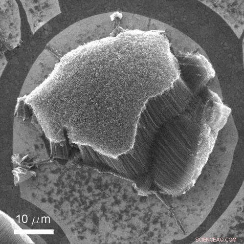 James Bond: A Graphene/Nanotube Hybrid – A Seamless Conductor for Energy Storage and Electronics