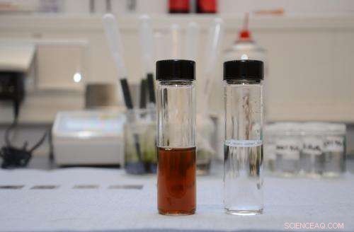 Polymer‑Protein Membrane Filters Nanoparticles and Enhances Solar Absorption