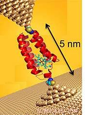 Cardiff University Breakthrough: Nature’s Nanomachines and Their Electronic Secrets