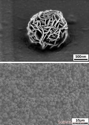 Cornell s Shape-Memory Hydrogel: Liquid Flow and Self-Recovery