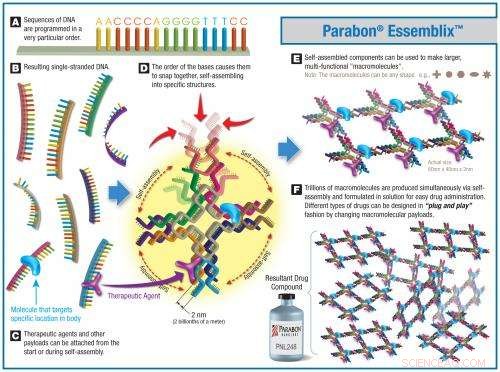 Drag‑and‑Drop DNA: A Breakthrough Technique Accelerating Cancer Drug Development