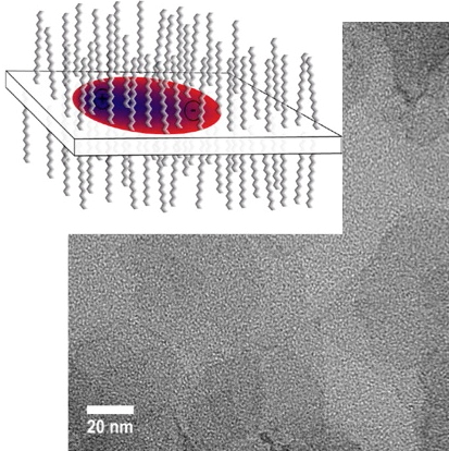 Time-Resolved Studies Reveal Colloidal Nanoplatelets Function as Quantum Wells