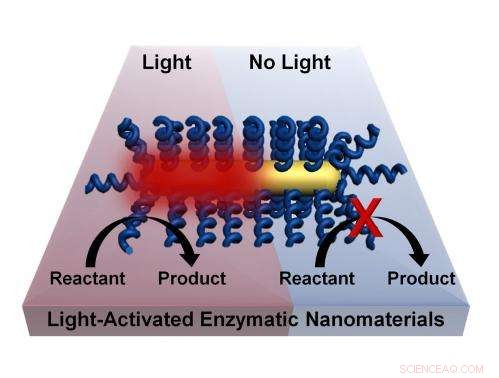 Light-Activated Remote Control of Biochemical Reactions