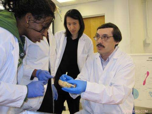 New Breakthrough: Detecting the Smallest Virus Particle Could Transform Early Disease Treatment