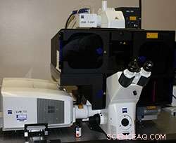 Advanced Fluorescence SIM Now Accessible at EMSL – Unlocking Molecular Cell Biology & Synthetic Biology Research