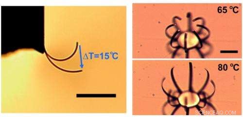 Scientists Unveil Powerful Microscale Actuator, Advancing Micro-Robotics
