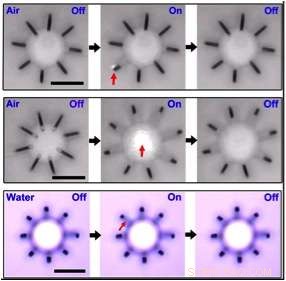 Scientists Unveil Powerful Microscale Actuator, Advancing Micro-Robotics
