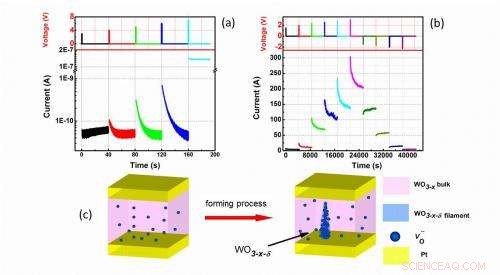 On-Demand Synaptic Electronics: Adaptive Circuits for Learning and Forgetting