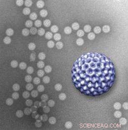 Revealing Viral Structures: A Nanoscale Microfluidics Window into the Biological World