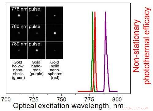 Scientists Demonstrate Selective Heating of Gold Nanoparticles with Ultra‑Short Laser Pulses