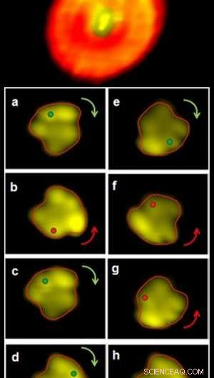 Scientists Engineer Precise Control of Novel Molecular Motor