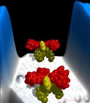 Scientists Engineer Precise Control of Novel Molecular Motor