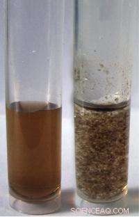 Graphene Oxide: A Revolutionary Solution for Removing Radioactive Waste