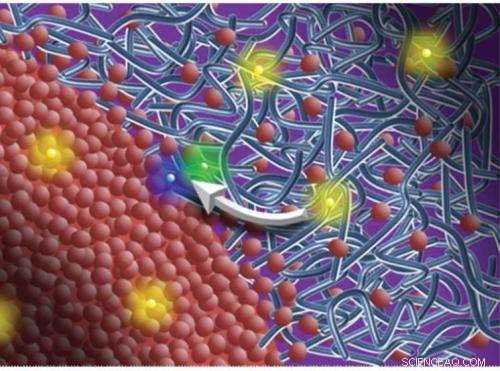 Advanced Light Source Discovers Breakthrough Path to Higher-Efficiency Organic Solar Cells