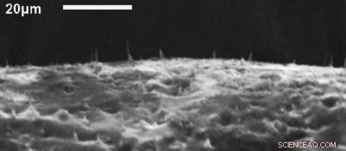 NC State Scientists Develop Flexible Nano-Needle Array for Targeted Drug Delivery