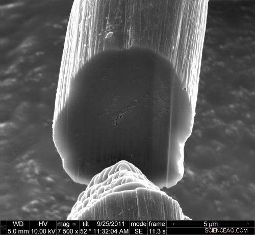Revolutionary Carbon Nanotube Fibers: Unmatched Strength, Conductivity, and Flexibility