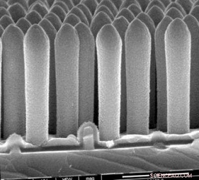 Researchers Develop Highly Efficient Indium Phosphate Nanowire Solar Cells