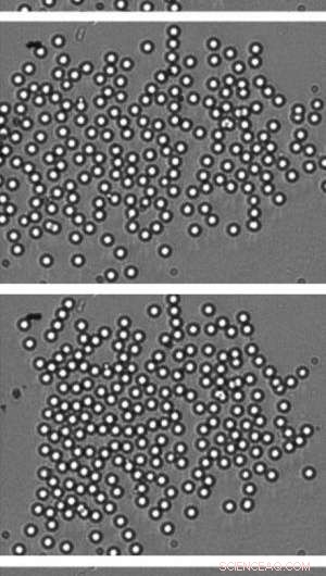 Precision Control of Particles for Guided Self-Assembly of Colloidal Crystals