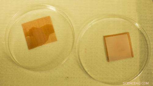 Superomniphobic Material That Repels Most Liquids