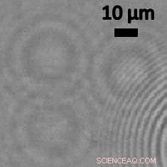 Nano-Lens Microscopes Detect Viruses and Nanoscale Objects with Unmatched Precision