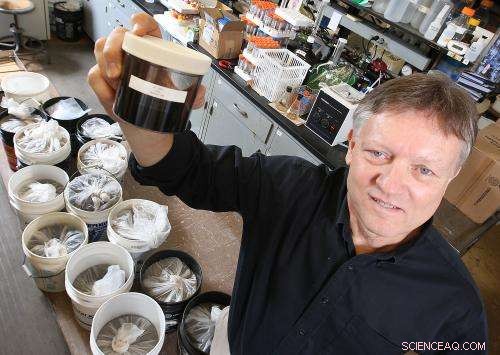 Certain Carbon Nanotubes Reduce Beneficial Soil Microbes in Low-Organic Soils