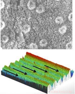 Rice Leaves and Butterfly Wings Reveal Nature s Superior Self‑Cleaning Surfaces