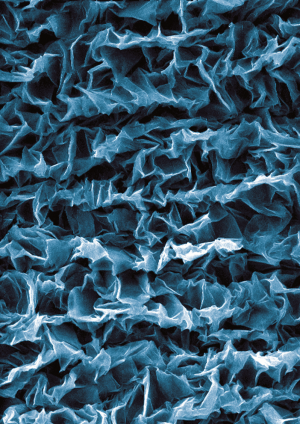 Controlled Graphene Crumpling Enables Artificial Muscles