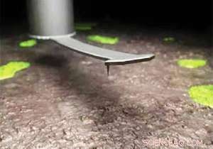 Nanotech Breakthrough: Harnessing Big Energy from Tiny Spores