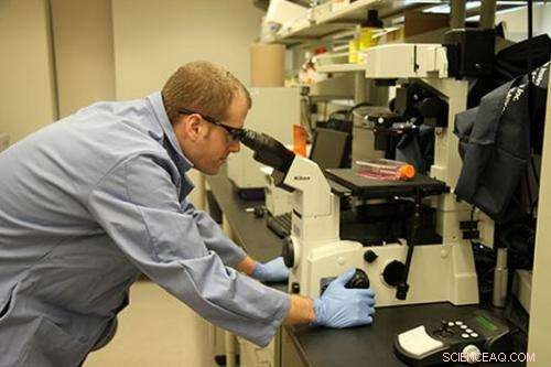 PhD Chemist Develops Innovative Nanocarrier for Targeted Cancer Therapy