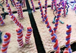 Electrical Engineer Innovates Nanoscale Tools Revolutionizing Life Science Research