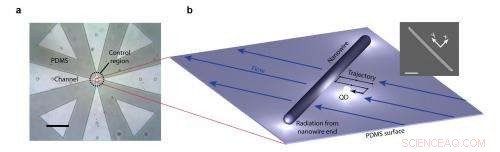 Probing Nanowires with Single Quantum Dots: A Precise Nanoscale Technique