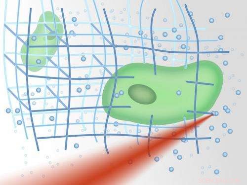 Laser‑Fabricated Nanostructures Embedding Living Cells