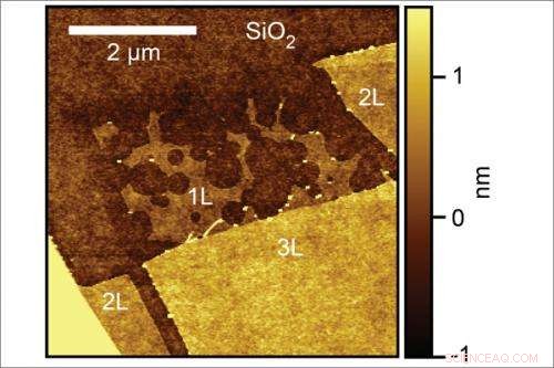 Ultra-Thin Graphene Sheets Show Strong Hydrogen Reactions, While Thicker Layers Remain Stable