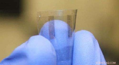 University of Maryland Engineers Transparent Nanopaper Transistor