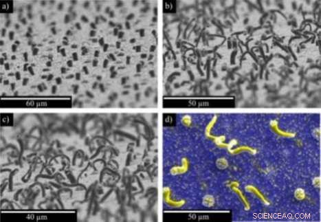 Precise Gold Microwire Fabrication via Micro-Velcro Technique