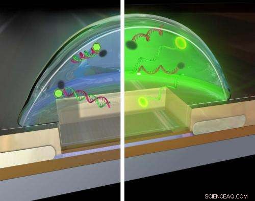 Building a Biochemistry Lab-on-a-Chip: Revolutionizing DNA Analysis