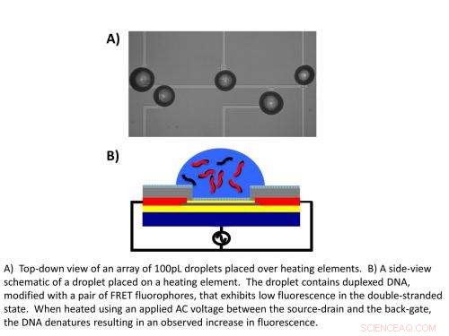 Building a Biochemistry Lab-on-a-Chip: Revolutionizing DNA Analysis