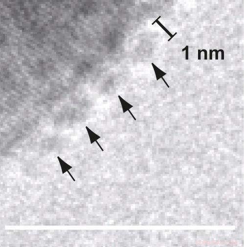 Microbial Magnetosomes: Nature’s Blueprint for Magnetic Nanoparticles