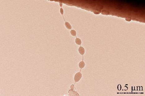 Nano Beads on a String Offer a Leap in Battery Technology